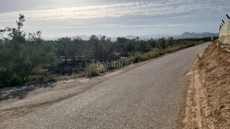 Foto a116887f-0b1e-407f-b0cc-4c67e2998de5. Masia a Carolinas Bajas Alicante