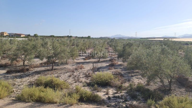 Foto c3ca4411-0192-4422-a9c4-be8d4f568524. Masia a Carolinas Bajas Alicante