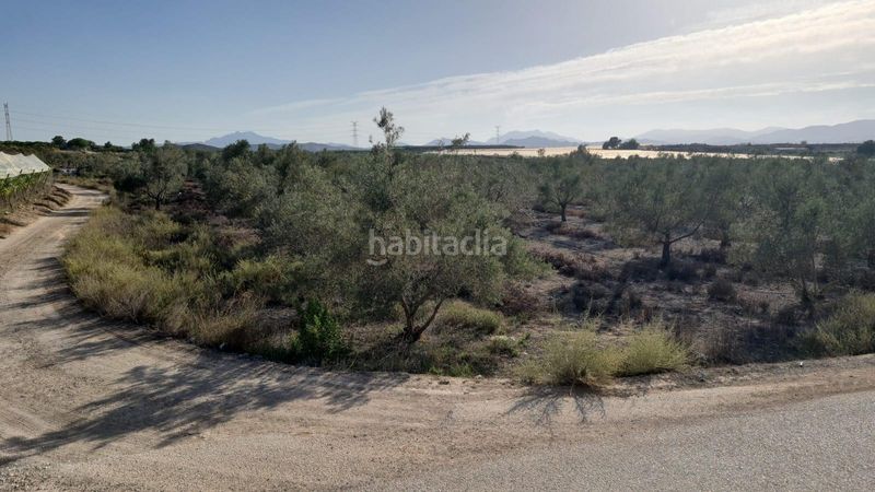 Foto c71af0bc-e067-4653-a9ae-768f701f922c. Masia a Carolinas Bajas Alicante