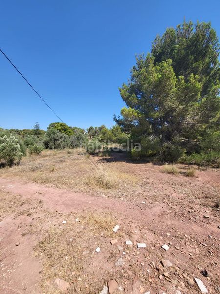 Foto d86cecac-cf83-4d3f-81a2-d2bd883d2a0b. Terreny residencial a San Rafael - Nucia Park Nucia (la)