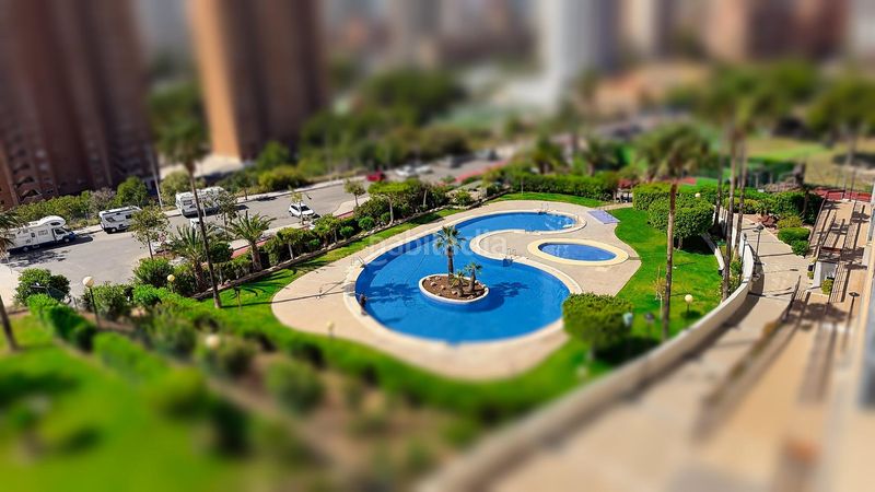 Foto 3d91ab03-6d0b-4e13-b675-4751881278de. Piso en avenida marina alta 4 piso playa de poniente, en Benidorm