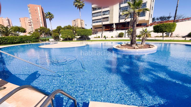 Foto f145cacb-ff2a-400e-88cb-c31590643267. Piso en avenida marina alta 4 piso playa de poniente, en Benidorm