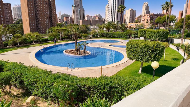 Foto 26853183-581d-4004-80b3-10321e5726b8. Pis amb aparcament piscina a Playa Poniente Benidorm