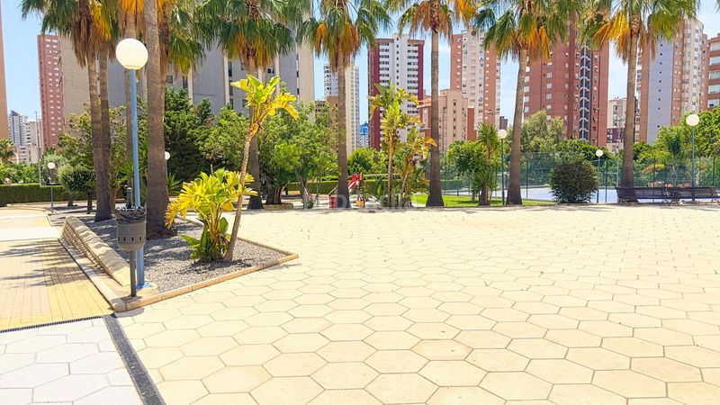 Foto e41d528b-b3c5-4c66-8cc0-c162ee1e3e74. Pis amb aparcament piscina a Juzgados - Plaza de Toros Benidorm