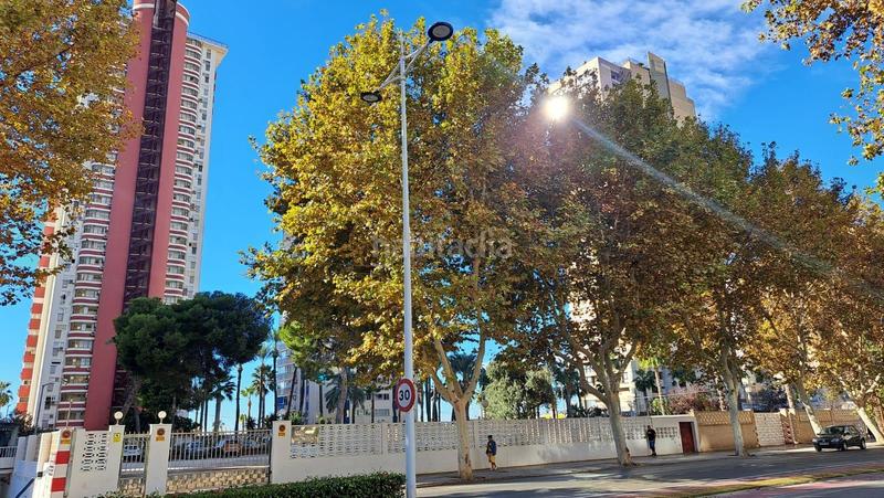 Foto 13aa69c1-20fa-4cd2-a8ff-af6c6ede7506. Apartamento  en venta 1 línea de levante, en Benidorm