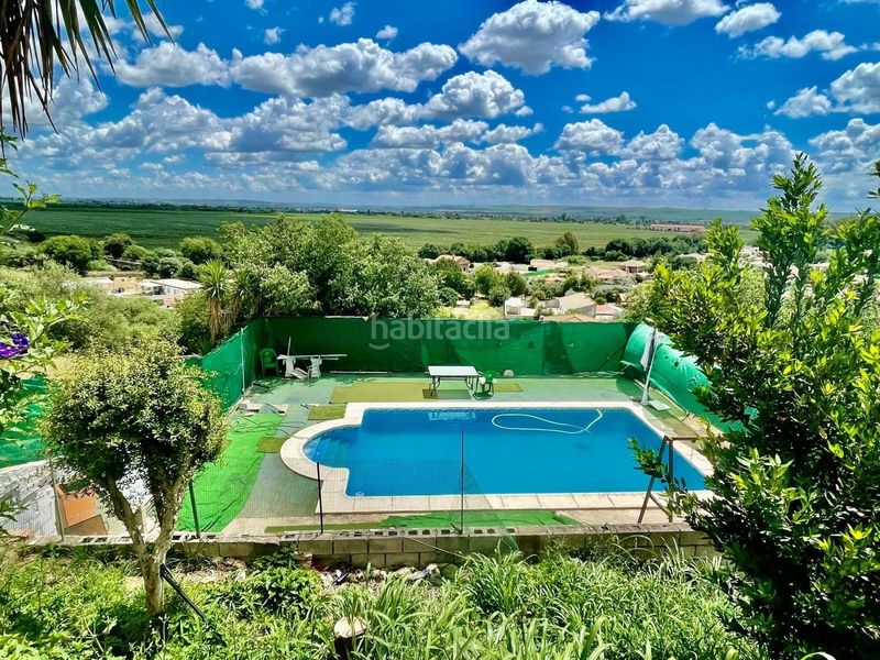Foto aca2261a-3c33-476d-b7df-d2b9dd9ea370. Casa adossada a Almodóvar del Río