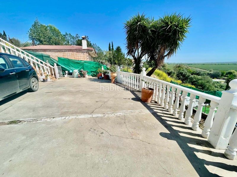 Foto c99fe769-d8f2-40e9-95d0-f2b515058107. Casa adossada a Almodóvar del Río