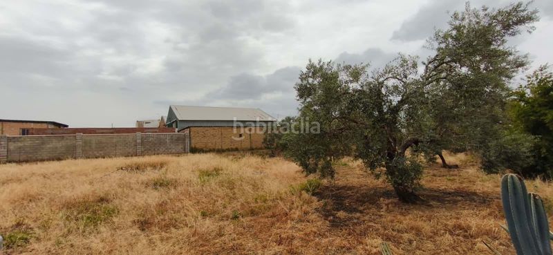 Foto 64f41032-07df-4152-99c9-dd697e43dee8. Piso en Pedanías Sur Utrera