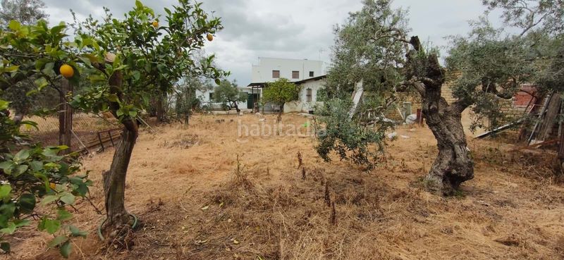 Foto 0533b5c0-8742-4626-ad28-081c08110f15. Pis a Pedanías Sur Utrera