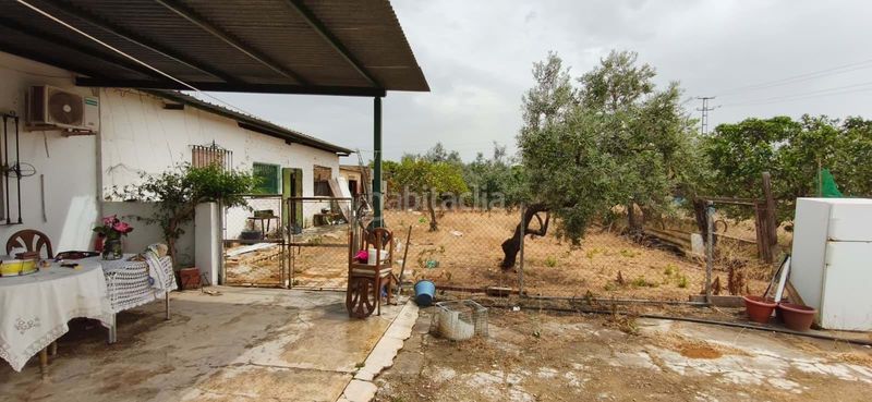 Foto 7e4f0e0a-4cb3-48a4-98c1-c4bcc2bb61c7. Pis a Pedanías Sur Utrera