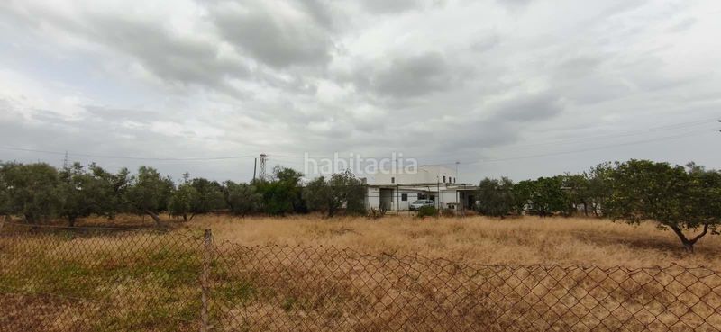 Foto 93bac233-0abb-4aff-a2ae-3b70b308aaa2. Pis a Pedanías Sur Utrera