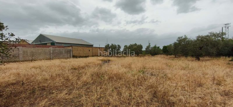 Foto f3ae986c-3f9d-41da-9985-17deebd9e4f1. Pis a Pedanías Sur Utrera