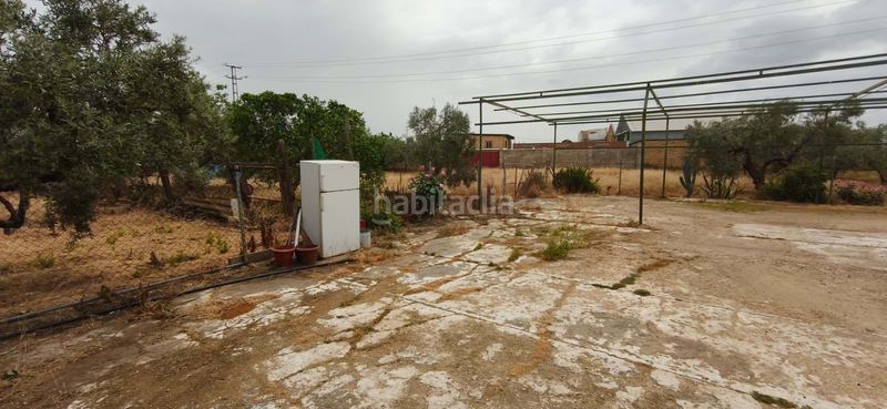 Foto 01b0b60d-7d25-44b9-b639-5a13adff3b02. Piso en Pedanías Sur Utrera