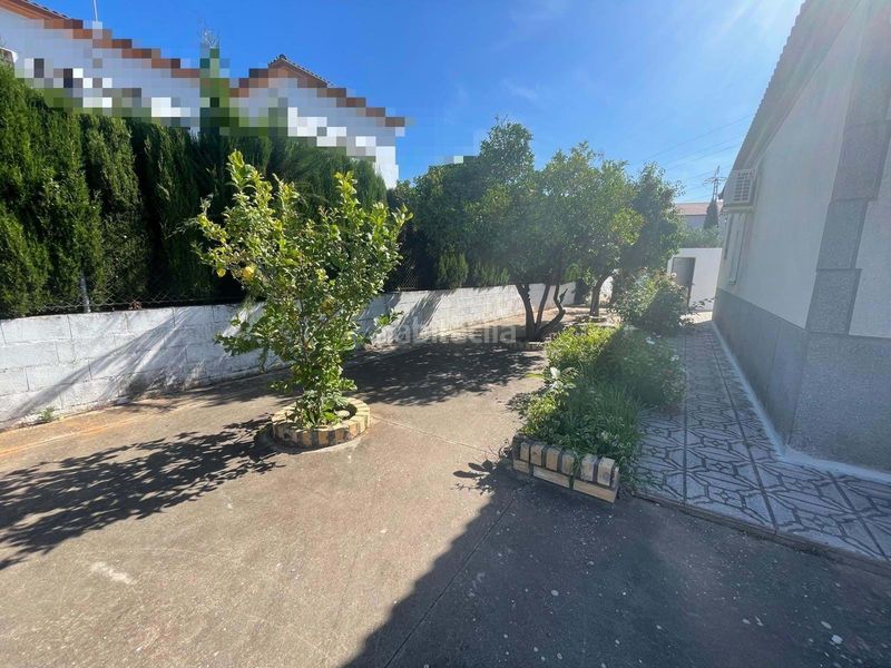 Foto e1db44be-1db8-4f77-b438-454e05ddd53d. Terreny residencial a Alcolea Córdoba