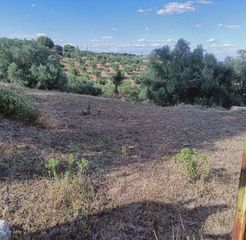 Terreny residencial a Carretera assuan