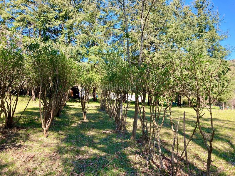 Foto 9483034d-89fb-4849-a1c0-47336080d706. Finca rústica a Gorliz