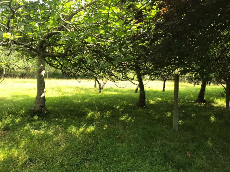 Foto cdbcc83d-4b0a-445e-b2c0-d898ca444240. Finca rústica a Gorliz
