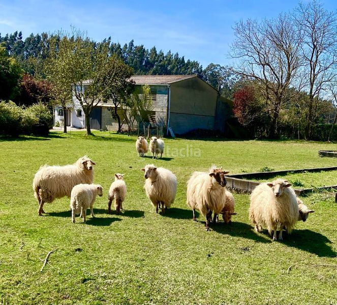 Foto d9ad682b-fdf6-4115-b518-0ae8f9b7f348. Finca rústica a Gorliz