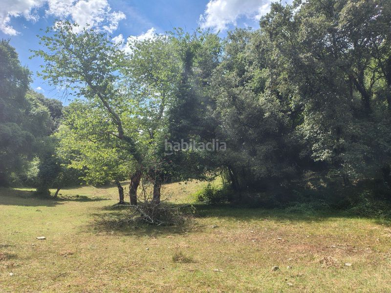 Foto 2f01eefe-081b-4393-8955-4c0a76b3cd42. Masia a Orduña