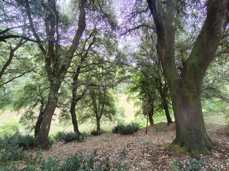 Foto ca2ccd2c-2395-4487-afeb-1ce121c10bfb. Masia a Orduña