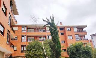 Appartement à Berango. Piso en axgane berango