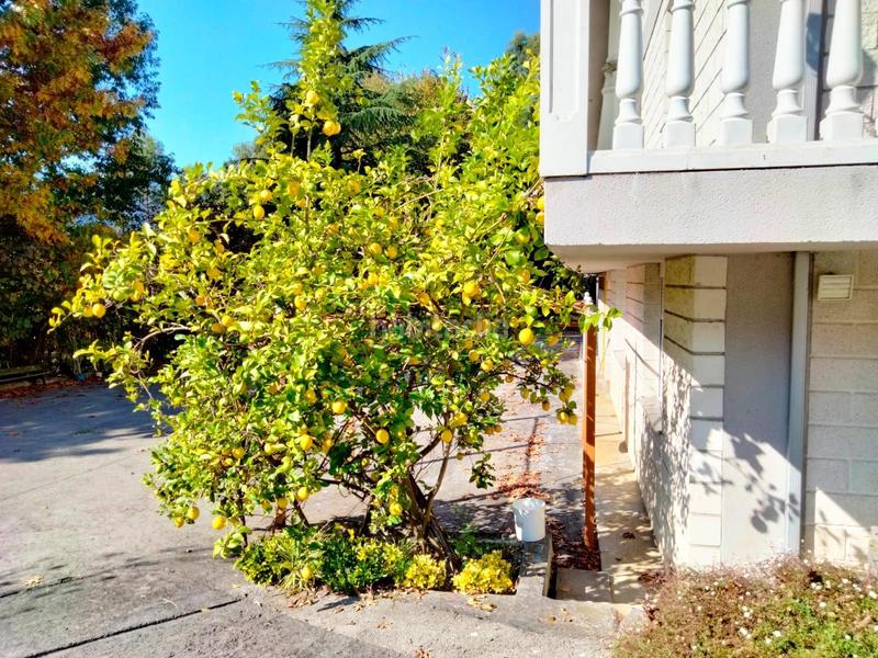 Foto 64a23abd-38e7-4f5d-8211-35b64c8f8ff4. Casa chalet independiente en arrankudiaga zollo en Arrankudiaga / Zollo