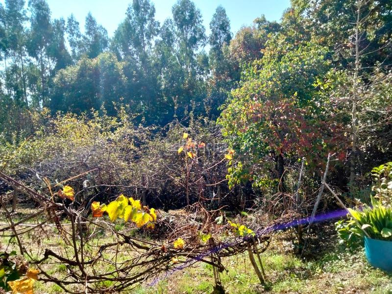 Foto 98e1b175-99a6-44c8-a129-bbe95df98430. Casa chalet independiente en arrankudiaga zollo en Arrankudiaga / Zollo