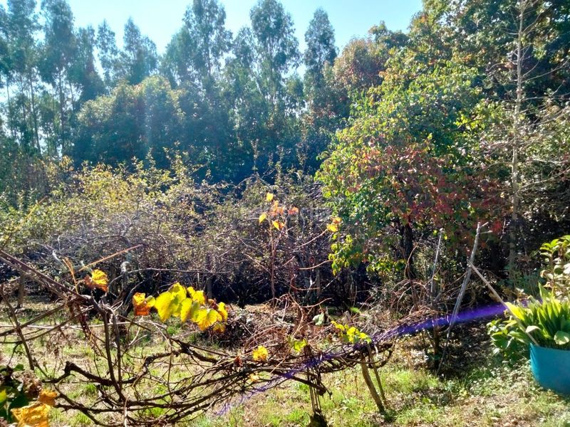 Foto b44ceff5-7b0a-4442-a9dc-bdefb5e344a9. Casa amb calefacció a Arrankudiaga / Zollo