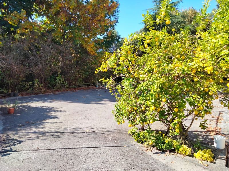 Foto e7cdb664-18e0-476b-94ff-6f81d2e116c8. Casa amb calefacció a Arrankudiaga / Zollo