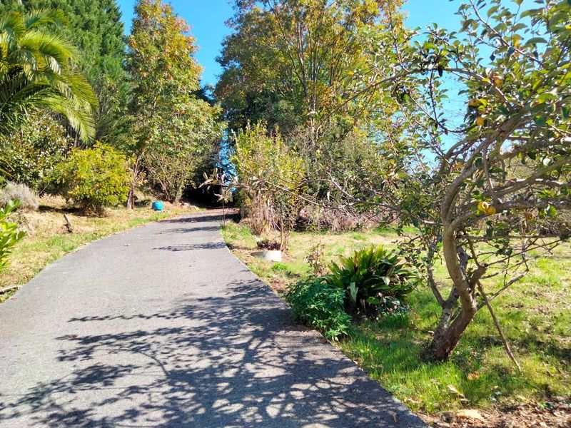 Foto ed813b31-8b12-46a2-be23-c610709ecd32. Casa amb calefacció a Arrankudiaga / Zollo