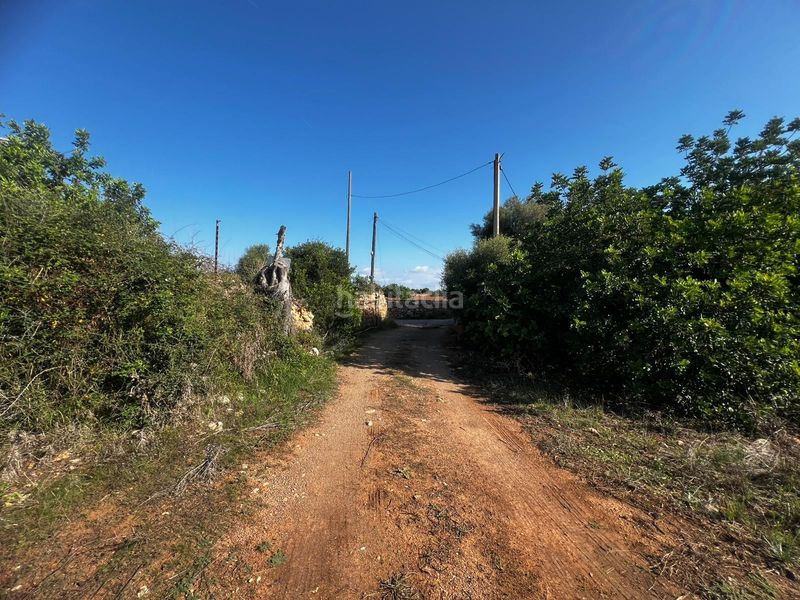 Foto 3fe38ae9-a366-4e6b-8c1b-be56be0f60ca. Terreny residencial a Cales de Mallorca Manacor