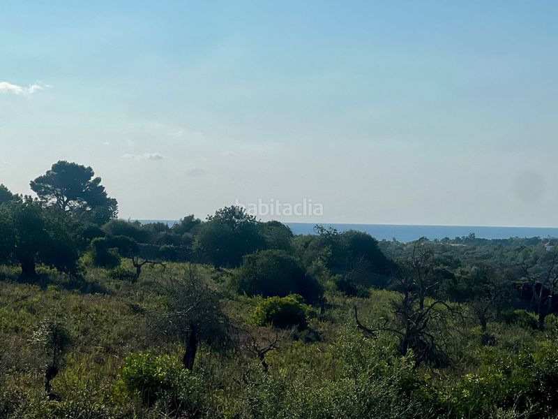 Foto 4466f711-fbb2-4d6a-aeef-d45bd71843b0. Terreny residencial a Cales de Mallorca Manacor