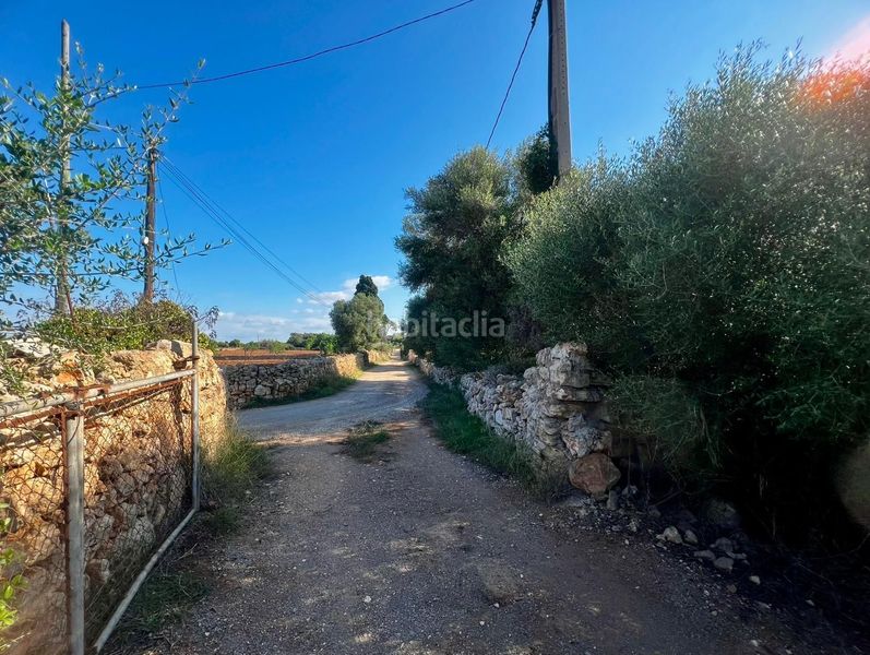Foto 66eef7ce-de92-406a-8f72-d06738b2676c. Terreny residencial a Cales de Mallorca Manacor