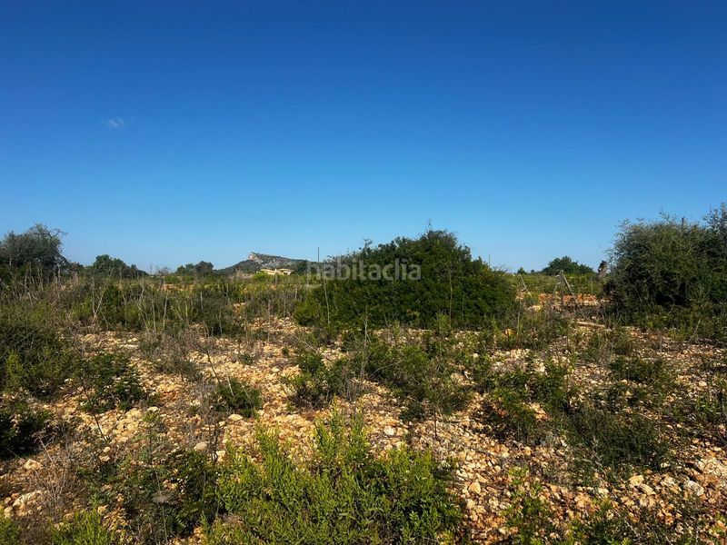 Foto ab1a23db-d157-4662-99dc-1a786d00b6d2. Terreny residencial a Cales de Mallorca Manacor