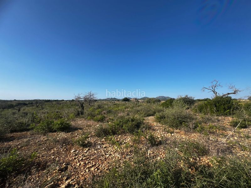 Foto d75e37c7-3431-4b19-bd00-dbce9098804c. Terreny residencial a Cales de Mallorca Manacor