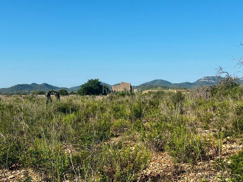 Foto e8d76175-8f2d-4682-bd10-62f7ed7a8634. Terreny residencial a Cales de Mallorca Manacor