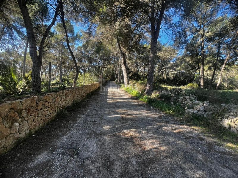 Foto c197cb12-7379-4de6-91c2-470a0b27a338. Masia amb calefacció a Cala Figuera Santanyí