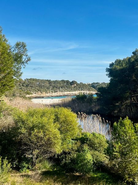 Foto f3dd6970-a5ae-4f28-9741-bf9a9dfd5036. Masia amb calefacció a Cala Figuera Santanyí