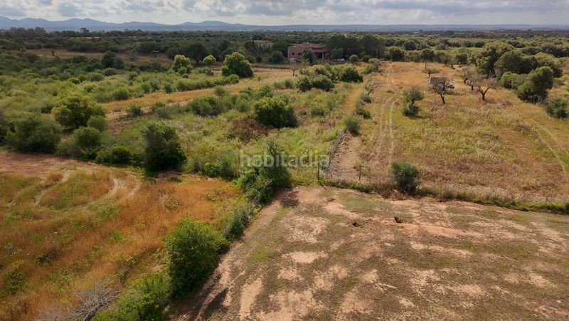 Foto f20cb0f6-ca6c-4fc2-b70e-47f77b788fbe. Masia amb calefacció piscina a Zona Rústica - Interior Campos
