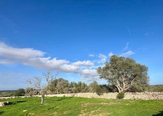 Wohngrundstück  Santanyi. Terreno rústico con proyecto básico aprobado entre es llombards