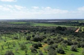 Terreno residenziale in Ses salines. Terreno rústico con proyecto básico y licencia concedida, entre