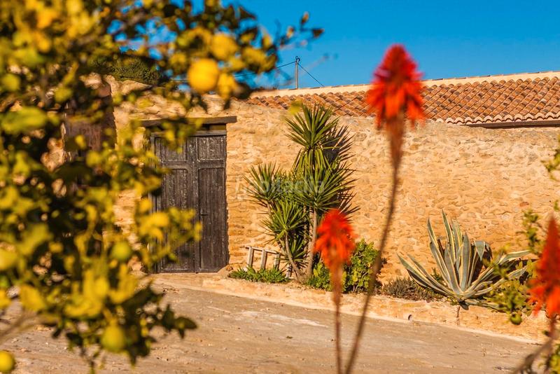 Foto b019e8a8-f92c-4814-8527-211f0c9ec5fc. Mas dans Benissa pueblo Benissa