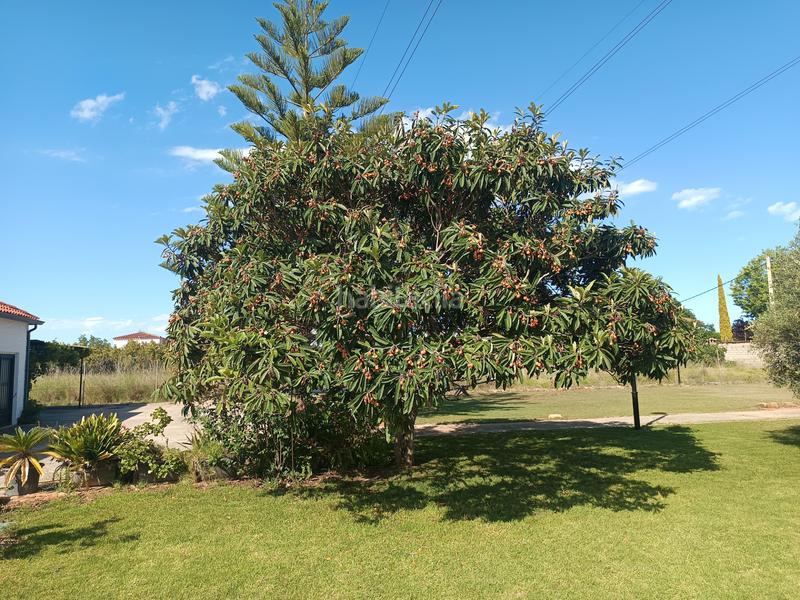 Foto ad501b13-f199-4cc1-b3bb-6bc380826488. Chalet mit kamin heizung parking pool in Madrigal Villarreal / Vila - real