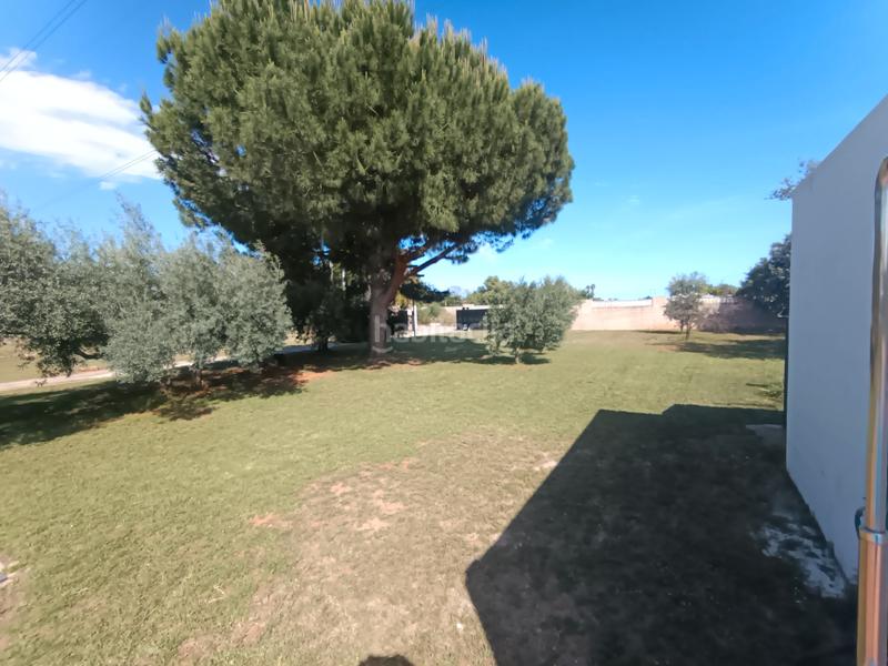 Foto ff082e06-0c17-40b5-9432-4725ddd373c0. Chalet mit kamin heizung parking pool in Madrigal Villarreal / Vila - real