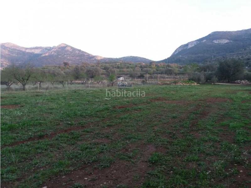 Foto 4ac6f767-7c40-45b2-9f06-d1e50bd4d688. Terreno residencial parcela vallada edificables en Alcalalí