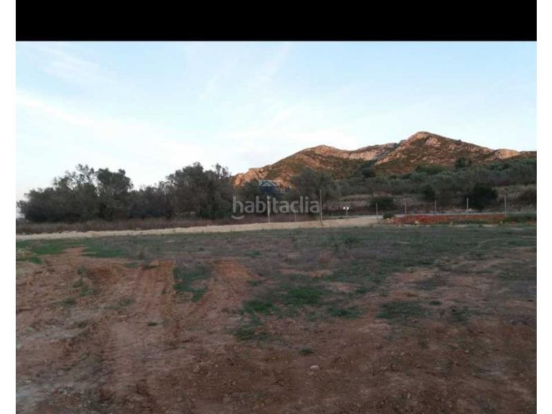 Foto 554142c4-50cc-4353-b570-507dda87e97a. Terreno residencial parcela vallada edificables en Alcalalí