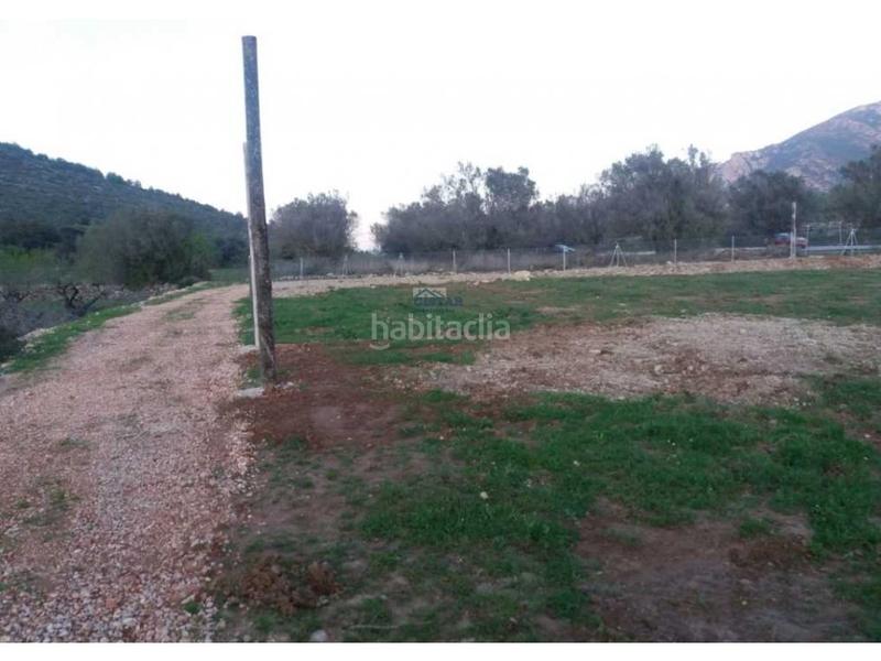 Foto 7adcd7c2-bef2-4c7f-856d-e9c349beaeea. Terreno residencial parcela vallada edificables en Alcalalí