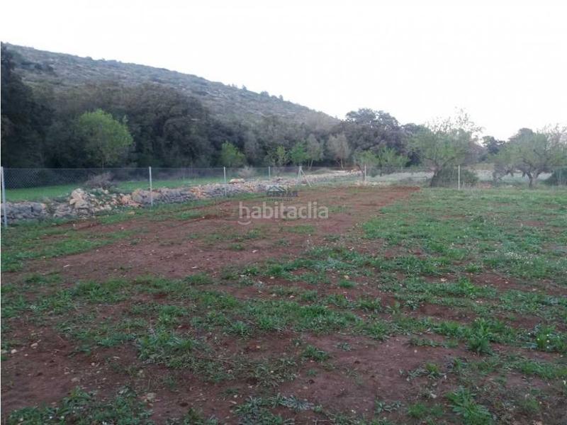 Foto a02a4838-6e78-4f2d-bae9-827ace07f5e9. Terreno residencial parcela vallada edificables en Alcalalí