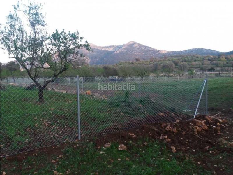 Foto d8c884d6-2218-4c32-9f3c-ead6cdb0f207. Terreno residencial parcela vallada edificables en Alcalalí