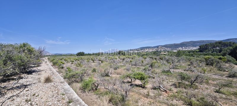Foto 0bfff568-5dec-4b28-9fdc-5f683c5b899f. Terreny residencial a Tormos